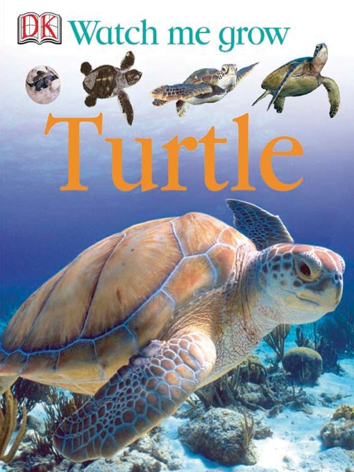 Title details for Turtle by DK - Available